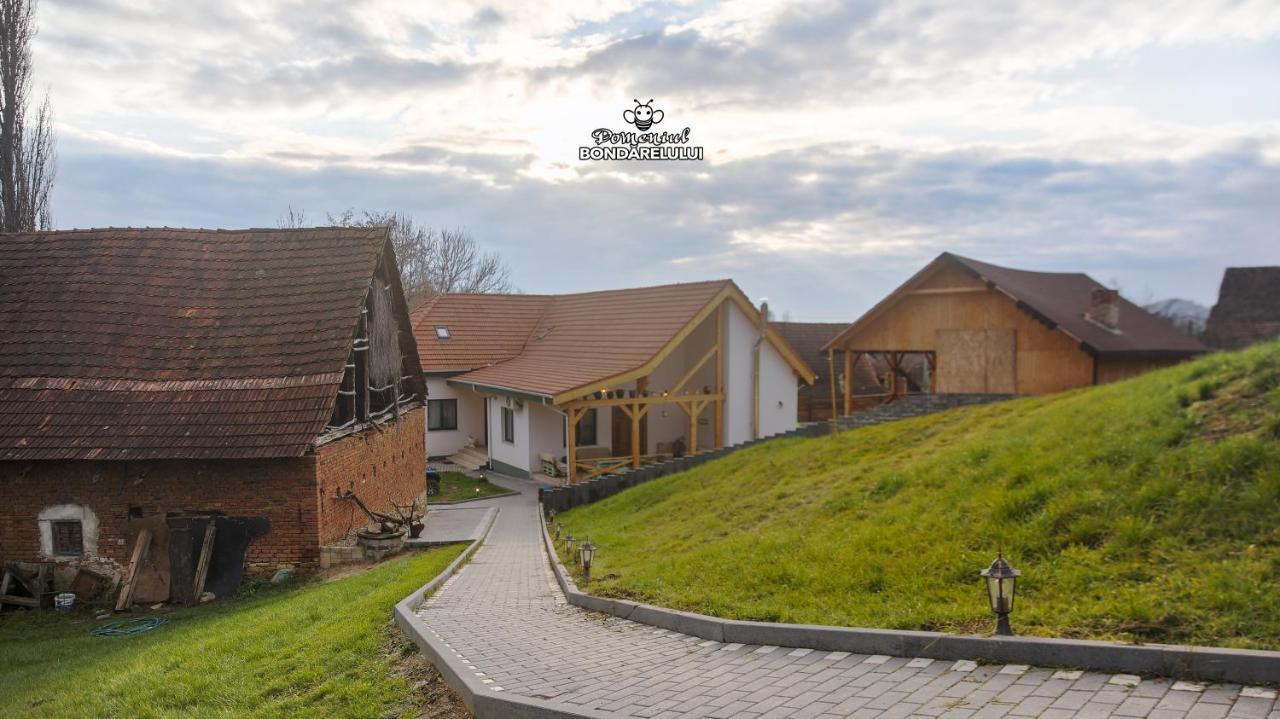 Hotel Domeniul Bondarelului Ocolisu Mic Exterior foto