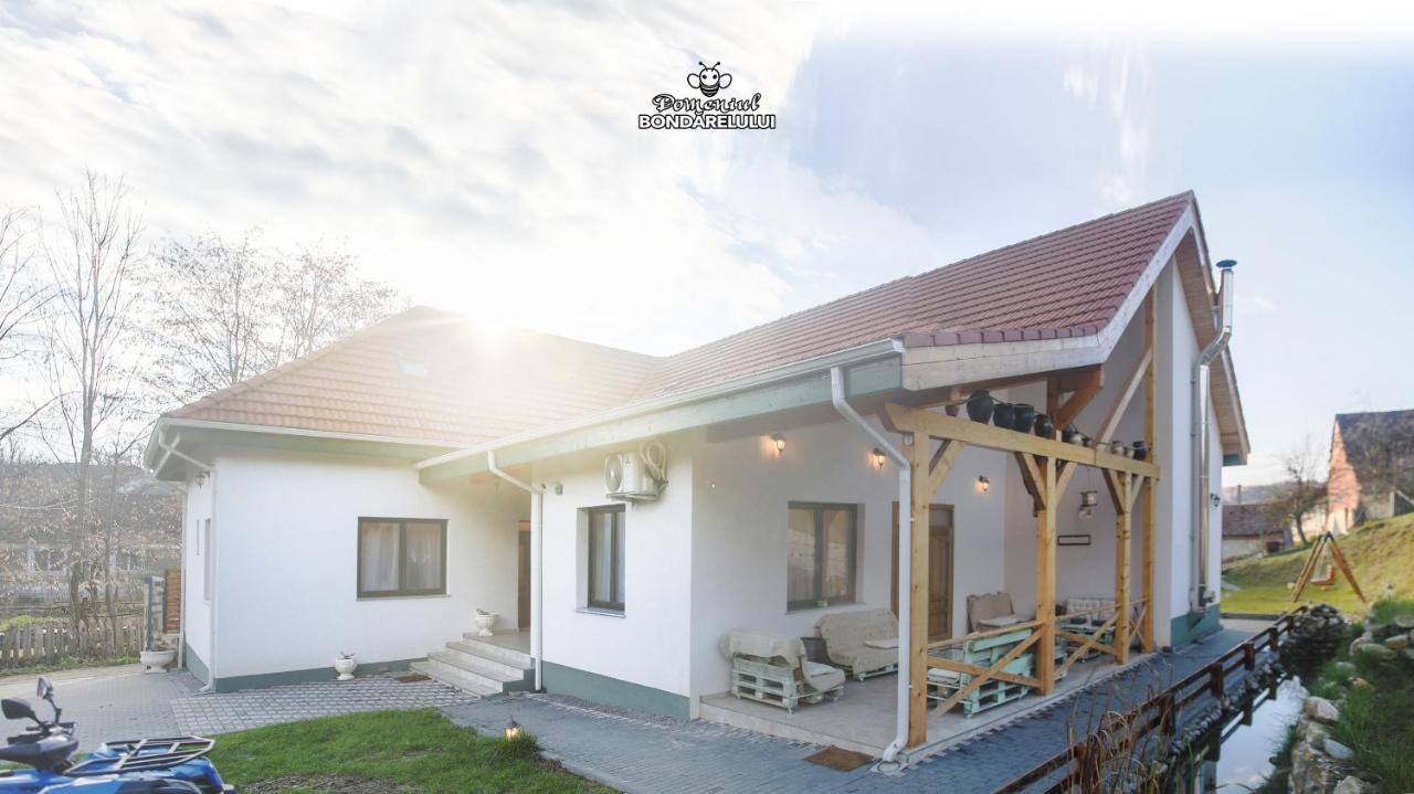 Hotel Domeniul Bondarelului Ocolisu Mic Exterior foto